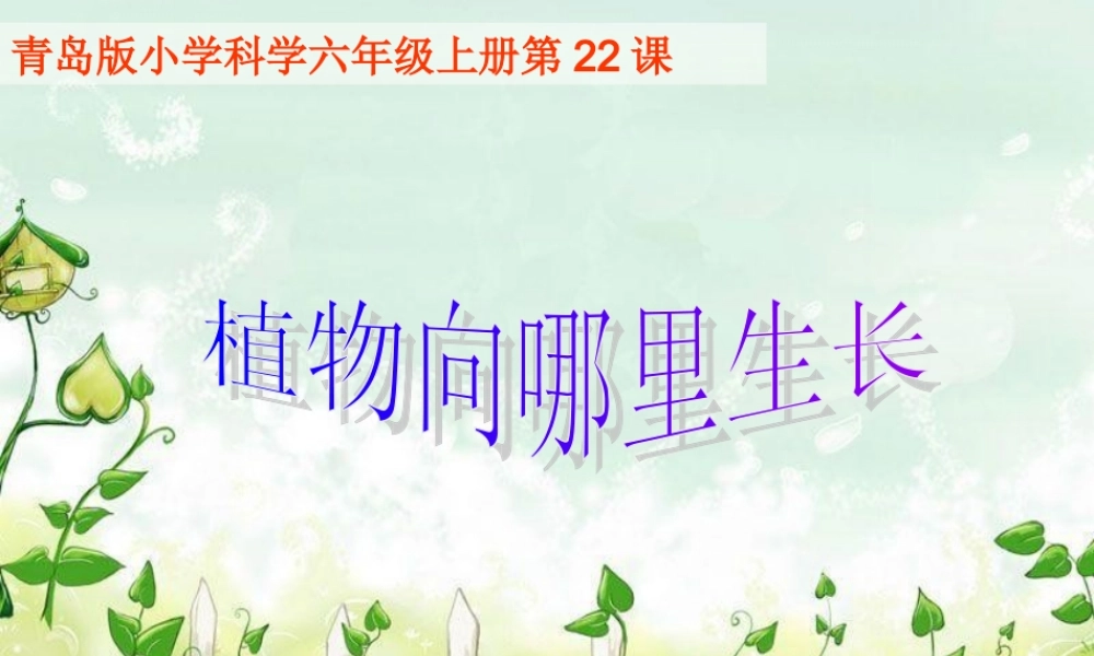 青岛小学科学四下《17 植物向哪里长》PPT课件 (3)【加微信公众号 jiaoxuewuyou 九折优惠 qq 1119139686】.ppt