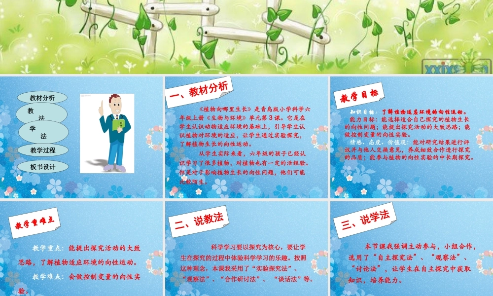 青岛小学科学四下《17 植物向哪里长》PPT课件 (3)【加微信公众号 jiaoxuewuyou 九折优惠 qq 1119139686】.ppt