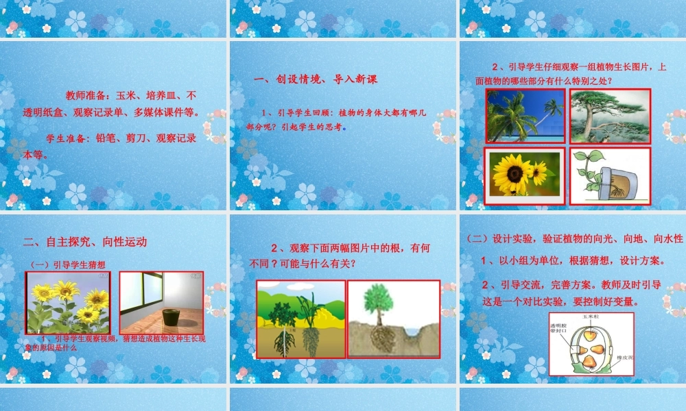 青岛小学科学四下《17 植物向哪里长》PPT课件 (3)【加微信公众号 jiaoxuewuyou 九折优惠 qq 1119139686】.ppt