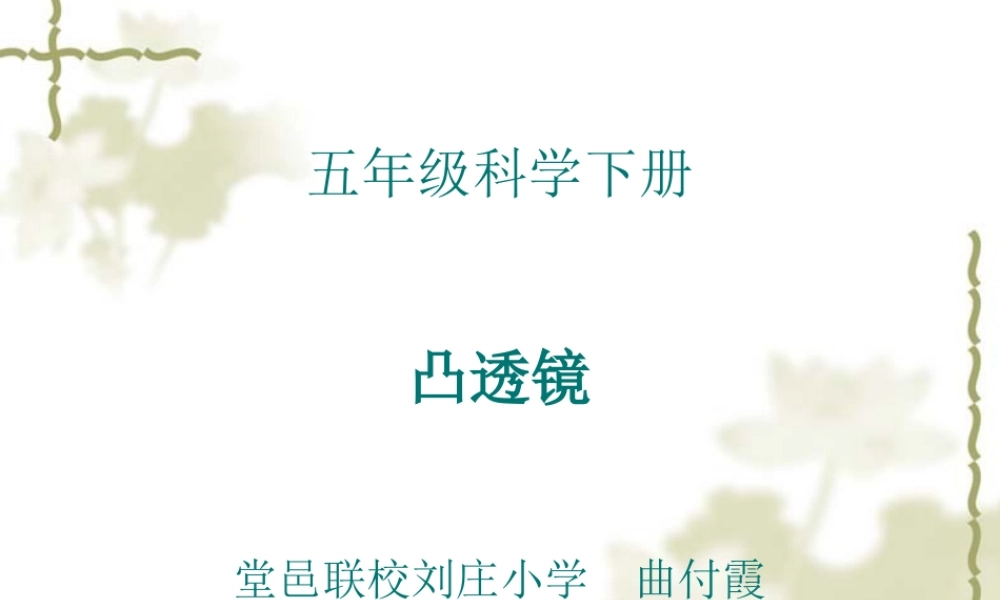 青岛小学科学四下《13 凸透镜》PPT课件 (2)【加微信公众号 jiaoxuewuyou 九折优惠 qq 1119139686】.ppt