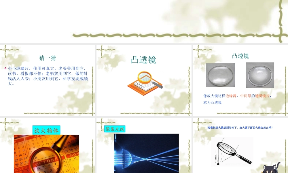 青岛小学科学四下《13 凸透镜》PPT课件 (2)【加微信公众号 jiaoxuewuyou 九折优惠 qq 1119139686】.ppt