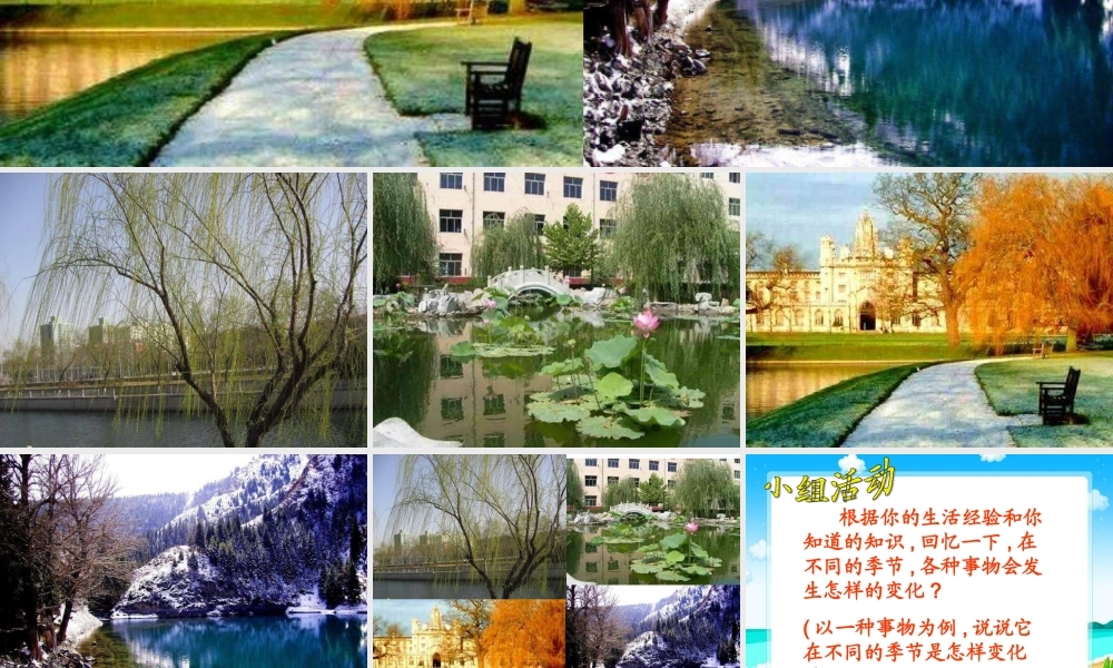 青岛小学科学四下《23 四季更替》PPT课件 (5)【加微信公众号 jiaoxuewuyou 九折优惠 qq 1119139686】.ppt