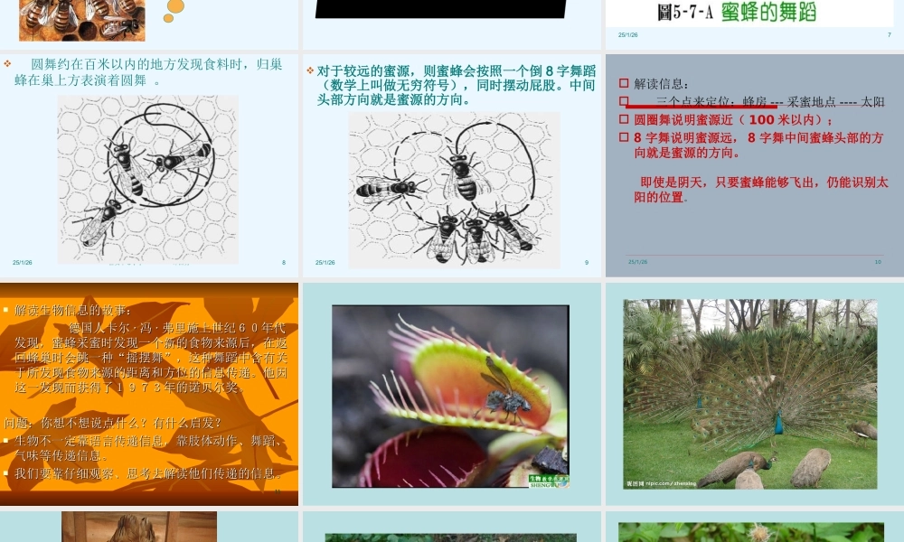 青岛小学科学四下《18 生物与信息》PPT课件【加微信公众号 jiaoxuewuyou 九折优惠 qq 1119139686】.ppt