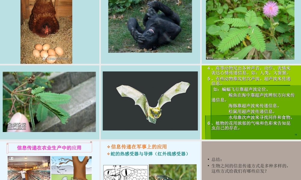 青岛小学科学四下《18 生物与信息》PPT课件【加微信公众号 jiaoxuewuyou 九折优惠 qq 1119139686】.ppt