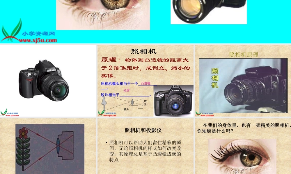 青岛小学科学四下《14 照相机和眼睛》PPT课件 (3)【加微信公众号 jiaoxuewuyou 九折优惠 qq 1119139686】.ppt