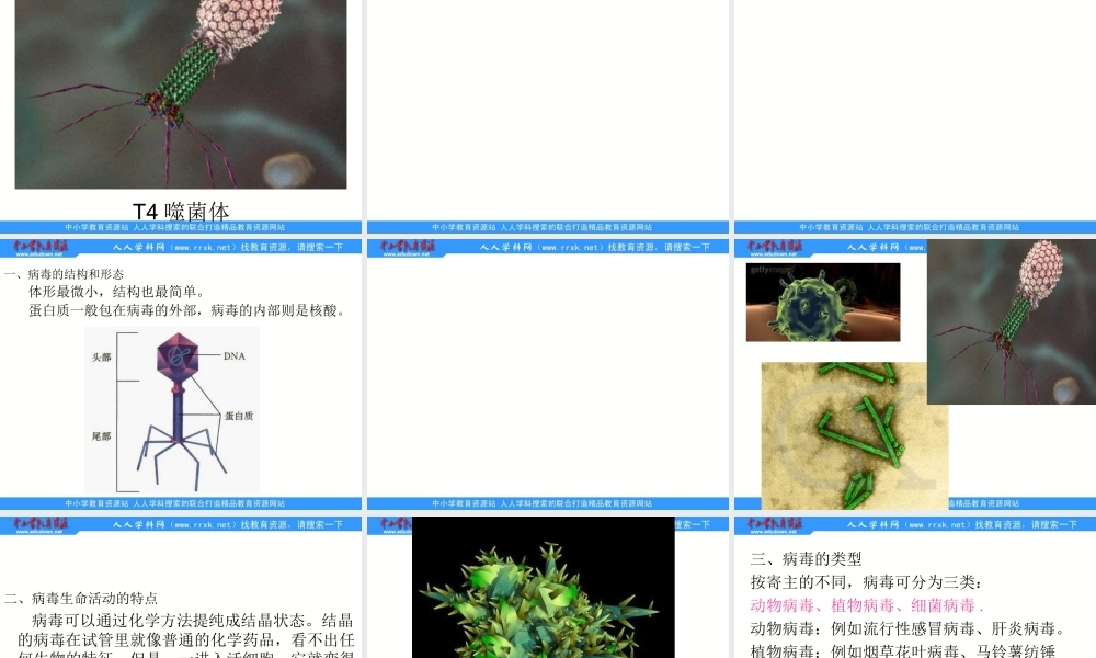 青岛小学科学五上《1 病毒》PPT课件 (1)【加微信公众号 jiaoxuewuyou 九折优惠 qq 1119139686】.ppt