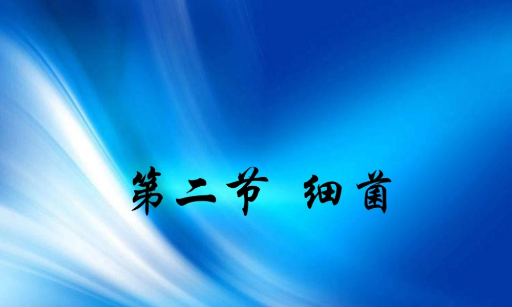 青岛小学科学五上《2 细菌》PPT课件 (2)【加微信公众号 jiaoxuewuyou 九折优惠 qq 1119139686】.ppt