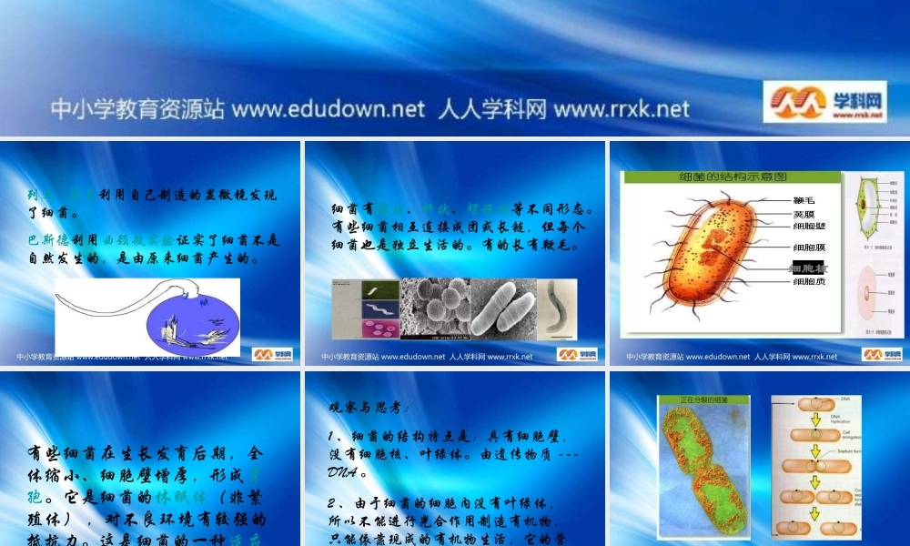 青岛小学科学五上《2 细菌》PPT课件 (2)【加微信公众号 jiaoxuewuyou 九折优惠 qq 1119139686】.ppt