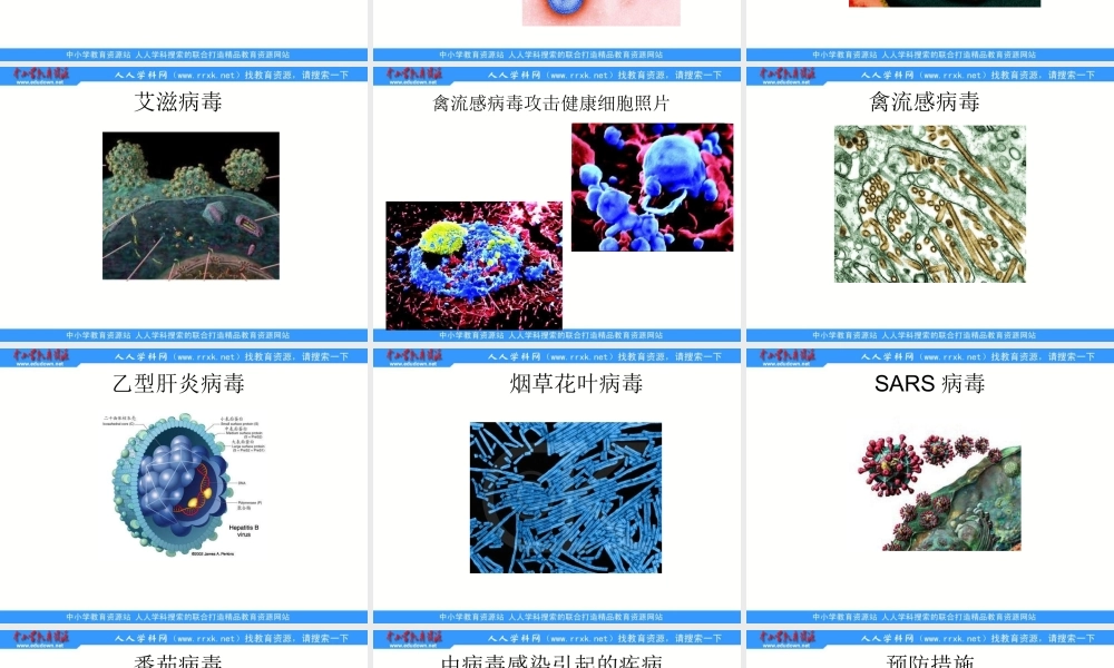 青岛小学科学五上《1 病毒》PPT课件 (2)【加微信公众号 jiaoxuewuyou 九折优惠 qq 1119139686】.ppt