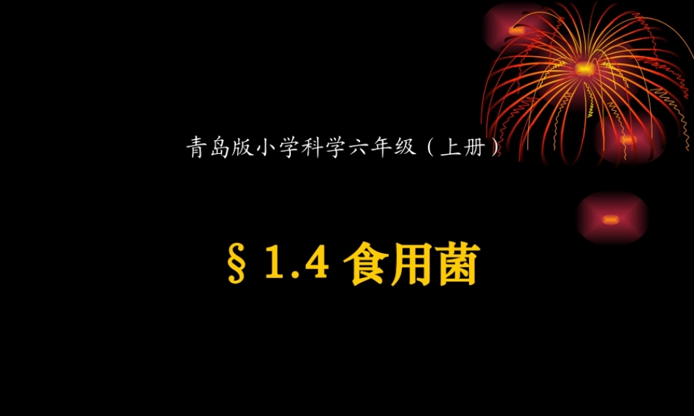 青岛小学科学五上《3 食用菌》PPT课件 (6)【加微信公众号 jiaoxuewuyou 九折优惠 qq 1119139686】.ppt