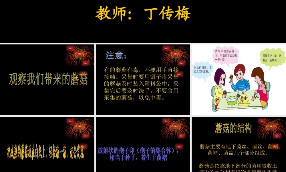 青岛小学科学五上《3 食用菌》PPT课件 (6)【加微信公众号 jiaoxuewuyou 九折优惠 qq 1119139686】.ppt