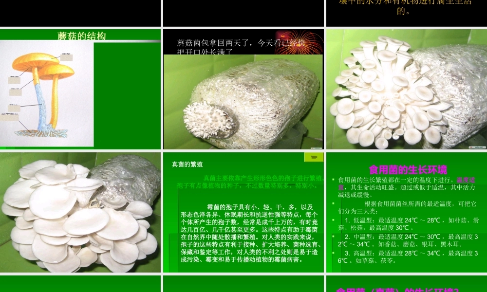 青岛小学科学五上《3 食用菌》PPT课件 (6)【加微信公众号 jiaoxuewuyou 九折优惠 qq 1119139686】.ppt