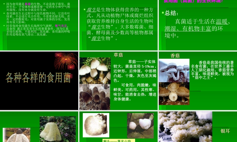 青岛小学科学五上《3 食用菌》PPT课件 (6)【加微信公众号 jiaoxuewuyou 九折优惠 qq 1119139686】.ppt