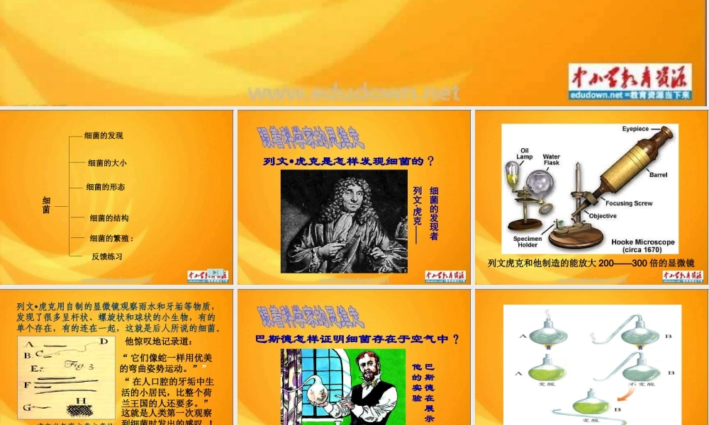 青岛小学科学五上《2 细菌》PPT课件 (3)【加微信公众号 jiaoxuewuyou 九折优惠 qq 1119139686】.ppt