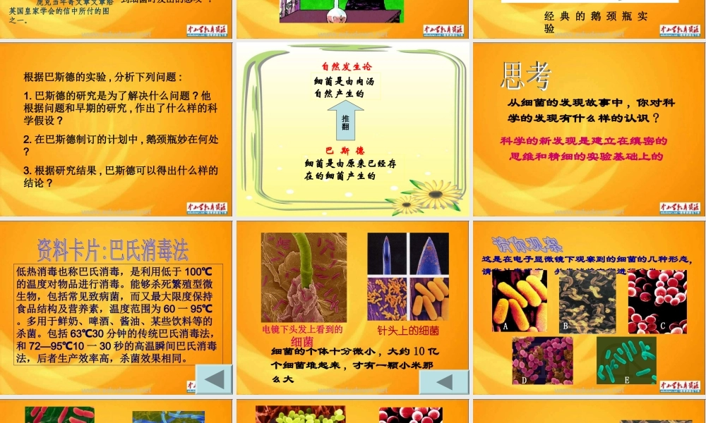 青岛小学科学五上《2 细菌》PPT课件 (3)【加微信公众号 jiaoxuewuyou 九折优惠 qq 1119139686】.ppt