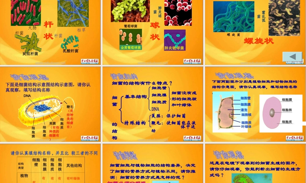 青岛小学科学五上《2 细菌》PPT课件 (3)【加微信公众号 jiaoxuewuyou 九折优惠 qq 1119139686】.ppt