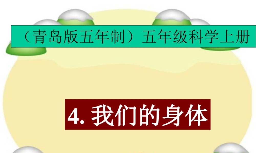 青岛小学科学五上《4 我们的身体》PPT课 件 (1)【加微信公众号 jiaoxuewuyou 九折优惠 qq 1119139686】.ppt