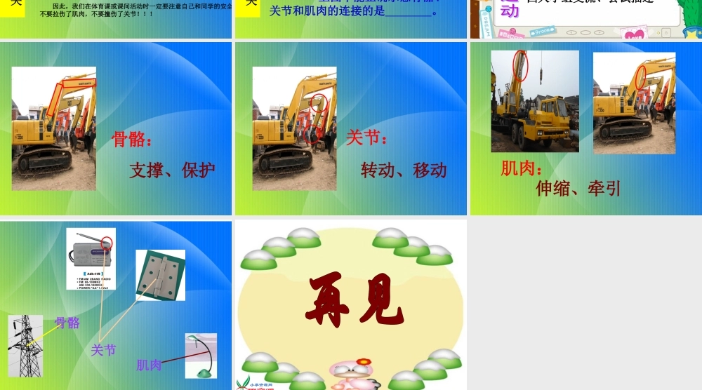 青岛小学科学五上《4 我们的身体》PPT课 件 (1)【加微信公众号 jiaoxuewuyou 九折优惠 qq 1119139686】.ppt