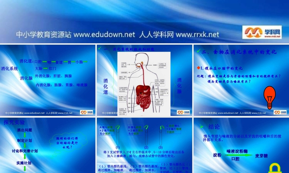 青岛小学科学五上《6 食物到哪里去了》PPT课件 (2)【加微信公众号 jiaoxuewuyou 九折优惠 qq 1119139686】.ppt