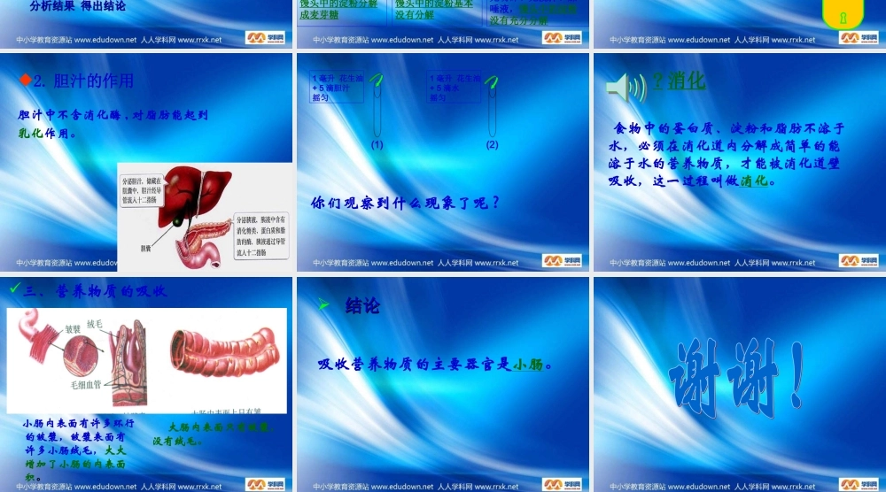 青岛小学科学五上《6 食物到哪里去了》PPT课件 (2)【加微信公众号 jiaoxuewuyou 九折优惠 qq 1119139686】.ppt