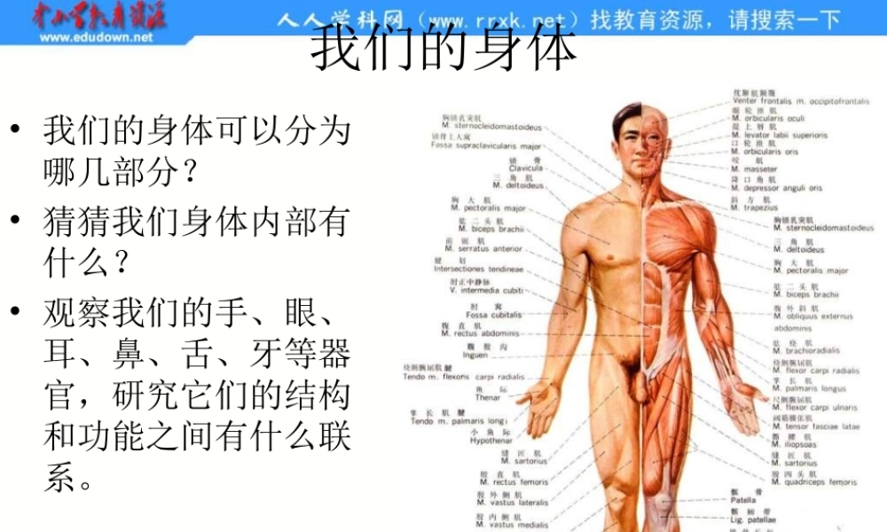 青岛小学科学五上《4 我们的身体》PPT课件 (1)【加微信公众号 jiaoxuewuyou 九折优惠 qq 1119139686】.ppt