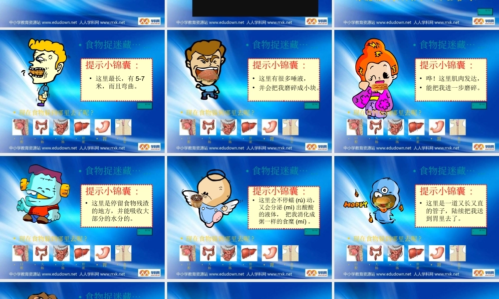 青岛小学科学五上《6 食物到哪里去了》PPT课件 (3)【加微信公众号 jiaoxuewuyou 九折优惠 qq 1119139686】.ppt