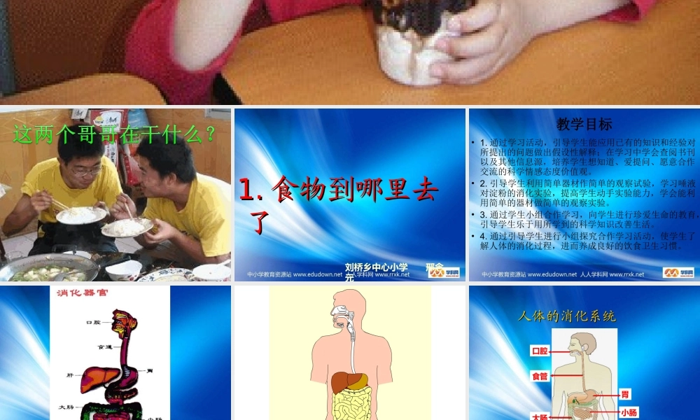 青岛小学科学五上《6 食物到哪里去了》PPT课件 (1)【加微信公众号 jiaoxuewuyou 九折优惠 qq 1119139686】.ppt