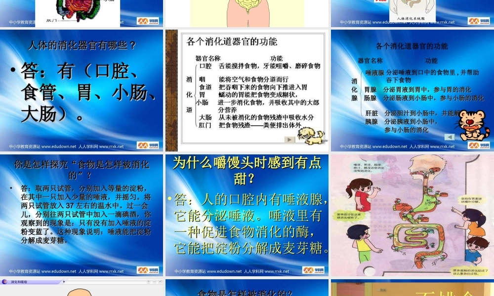 青岛小学科学五上《6 食物到哪里去了》PPT课件 (1)【加微信公众号 jiaoxuewuyou 九折优惠 qq 1119139686】.ppt