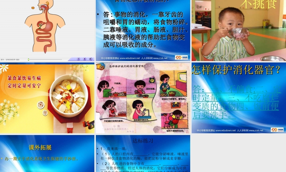 青岛小学科学五上《6 食物到哪里去了》PPT课件 (1)【加微信公众号 jiaoxuewuyou 九折优惠 qq 1119139686】.ppt