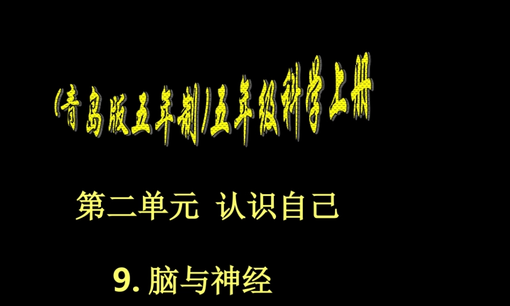 青岛小学科学五上《9 脑与神经》PPT课 件 (1)【加微信公众号 jiaoxuewuyou 九折优惠 qq 1119139686】.ppt