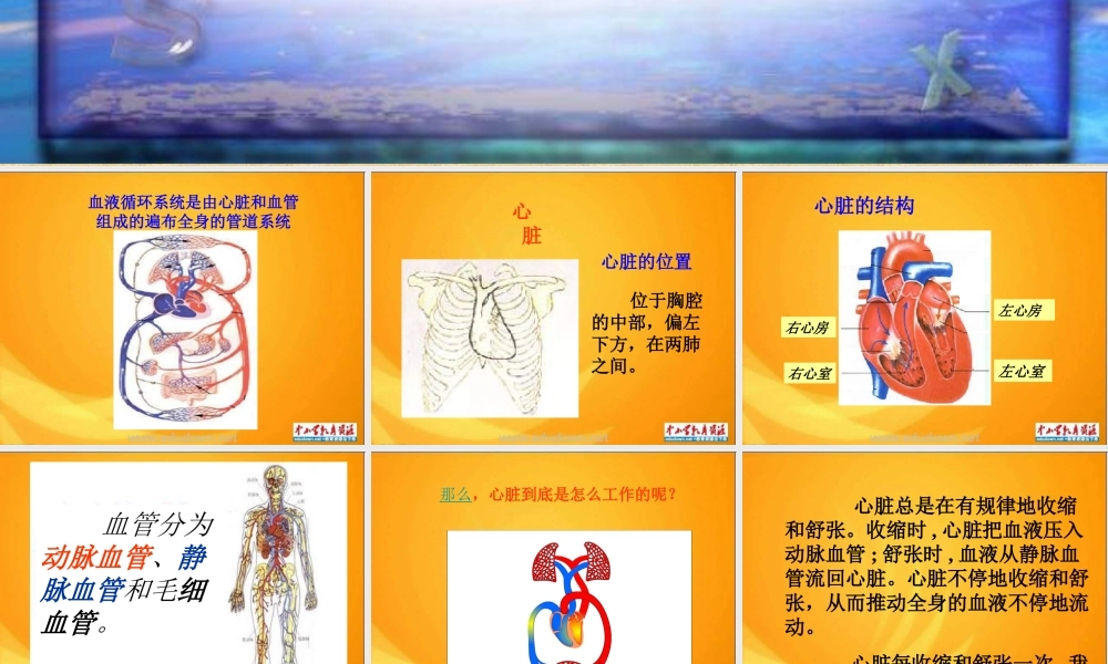 青岛小学科学五上《8 心脏和血管》PPT课件 (2)【加微信公众号 jiaoxuewuyou 九折优惠 qq 1119139686】.ppt