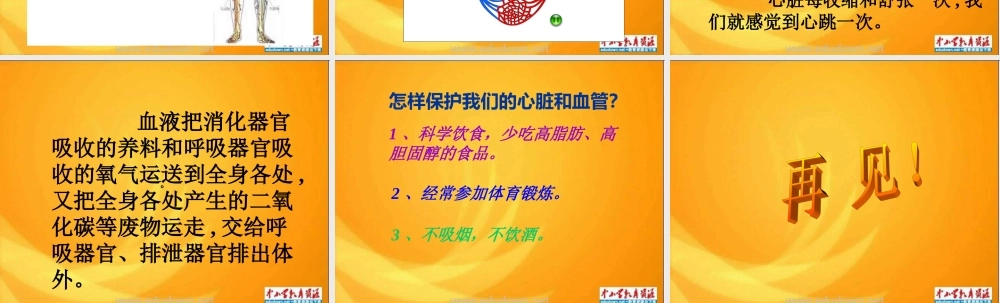 青岛小学科学五上《8 心脏和血管》PPT课件 (2)【加微信公众号 jiaoxuewuyou 九折优惠 qq 1119139686】.ppt