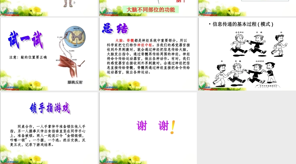 青岛小学科学五上《9 脑与神经》PPT课 件 (3)【加微信公众号 jiaoxuewuyou 九折优惠 qq 1119139686】.ppt