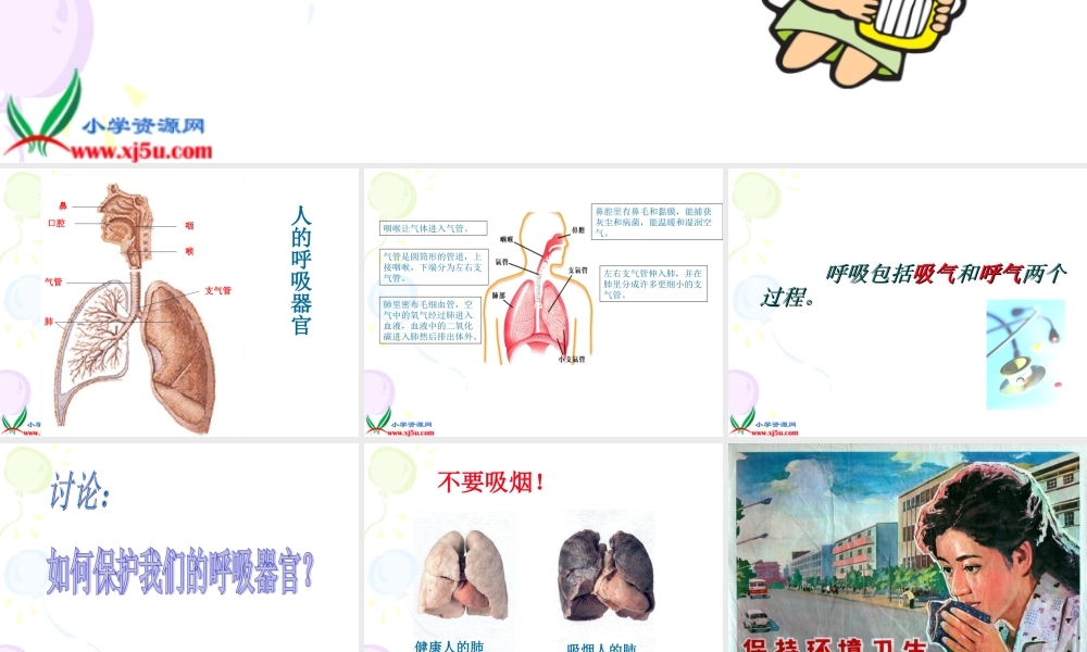 青岛小学科学五上《7. 我们的呼吸》PPT课 件 (2)【加微信公众号 jiaoxuewuyou 九折优惠 qq 1119139686】.ppt