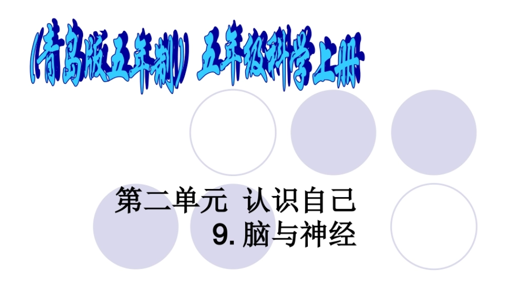 青岛小学科学五上《9 脑与神经》PPT课 件 (4)【加微信公众号 jiaoxuewuyou 九折优惠 qq 1119139686】.ppt