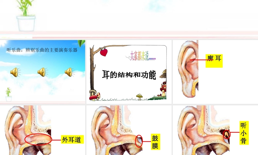青岛小学科学五上《12 怎样听到声音》PPT课件 (1)【加微信公众号 jiaoxuewuyou 九折优惠 qq 1119139686】.ppt
