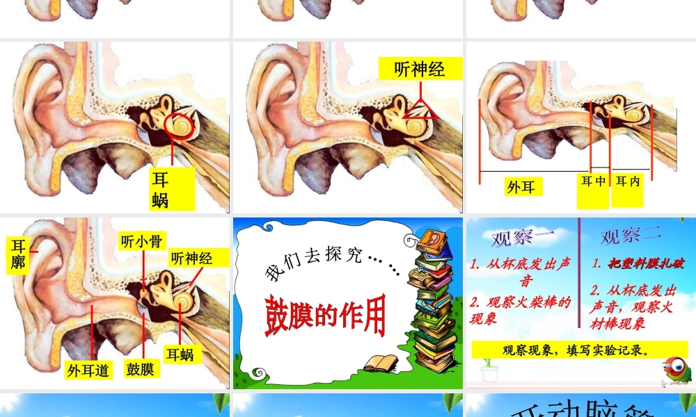 青岛小学科学五上《12 怎样听到声音》PPT课件 (1)【加微信公众号 jiaoxuewuyou 九折优惠 qq 1119139686】.ppt