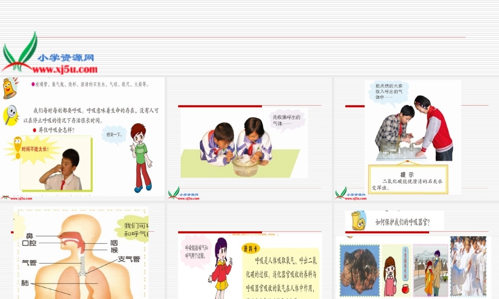 青岛小学科学五上《7. 我们的呼吸》PPT课 件 (3)【加微信公众号 jiaoxuewuyou 九折优惠 qq 1119139686】.ppt