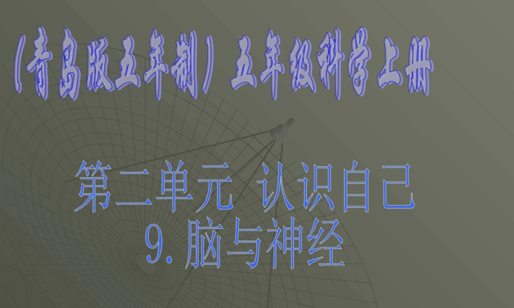 青岛小学科学五上《9 脑与神经》PPT课 件 (2)【加微信公众号 jiaoxuewuyou 九折优惠 qq 1119139686】.ppt