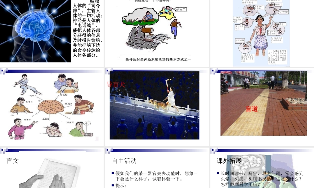 青岛小学科学五上《9 脑与神经》PPT课件 (1)【加微信公众号 jiaoxuewuyou 九折优惠 qq 1119139686】.ppt