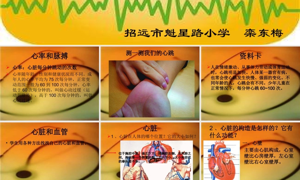 青岛小学科学五上《8 心脏和血管》PPT课件 (3)【加微信公众号 jiaoxuewuyou 九折优惠 qq 1119139686】.ppt