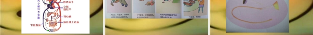 青岛小学科学五上《8 心脏和血管》PPT课件 (3)【加微信公众号 jiaoxuewuyou 九折优惠 qq 1119139686】.ppt