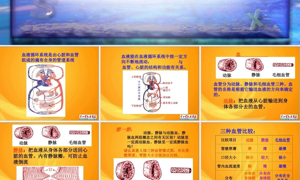 青岛小学科学五上《8 心脏和血管》PPT课件 (1)【加微信公众号 jiaoxuewuyou 九折优惠 qq 1119139686】.ppt