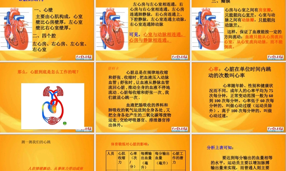 青岛小学科学五上《8 心脏和血管》PPT课件 (1)【加微信公众号 jiaoxuewuyou 九折优惠 qq 1119139686】.ppt