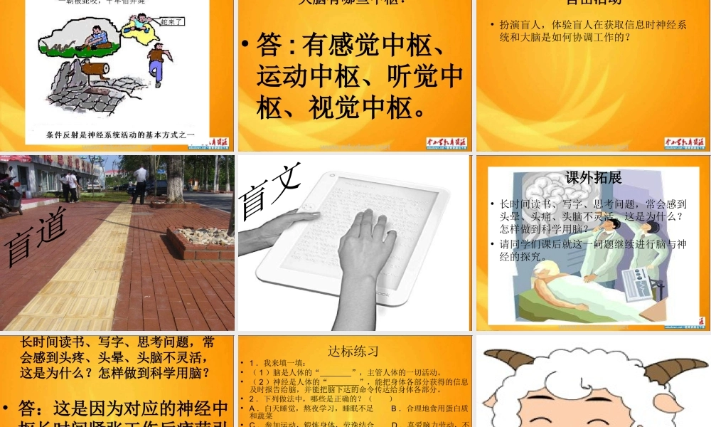 青岛小学科学五上《9 脑与神经》PPT课件 (2)【加微信公众号 jiaoxuewuyou 九折优惠 qq 1119139686】.ppt