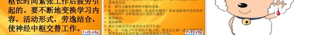 青岛小学科学五上《9 脑与神经》PPT课件 (2)【加微信公众号 jiaoxuewuyou 九折优惠 qq 1119139686】.ppt