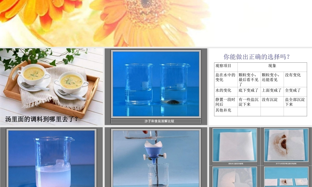 青岛小学科学五上《15.水变咸了》PPT课件 (3)【加微信公众号 jiaoxuewuyou 九折优惠 qq 1119139686】.ppt