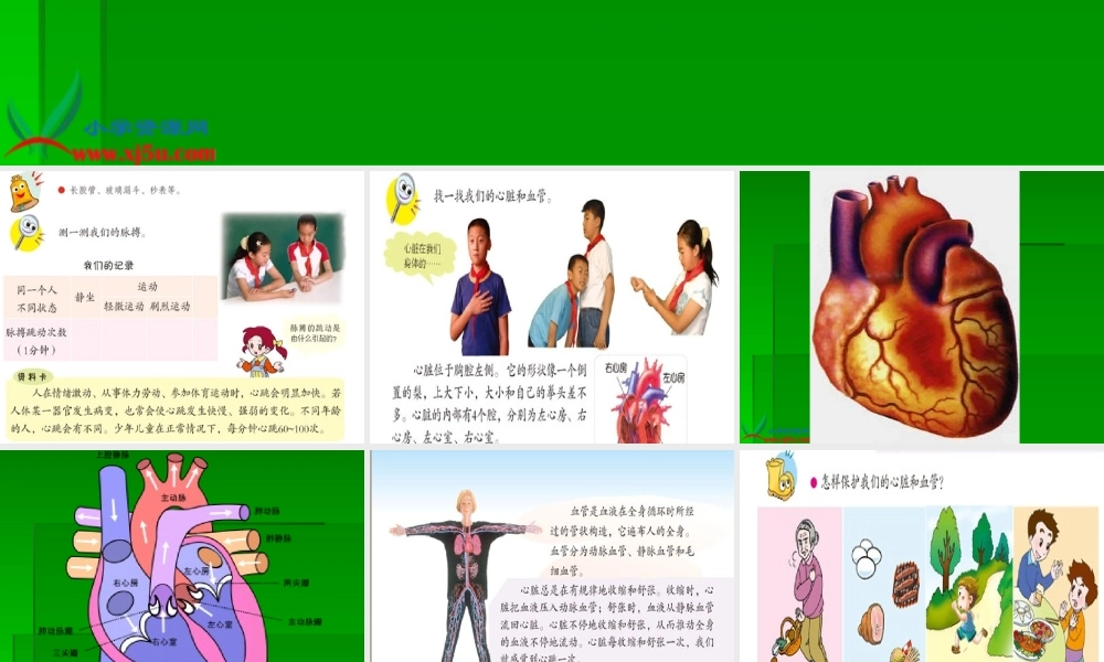青岛小学科学五下《3.心脏和血管》PPT课件 (1)【加微信公众号 jiaoxuewuyou 九折优惠 qq 1119139686】.ppt