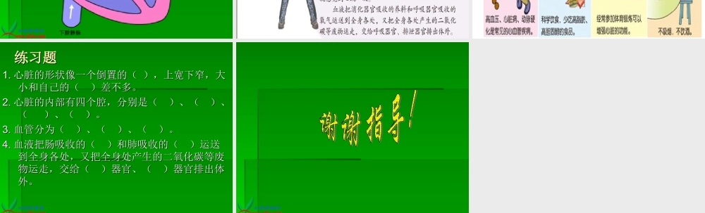 青岛小学科学五下《3.心脏和血管》PPT课件 (1)【加微信公众号 jiaoxuewuyou 九折优惠 qq 1119139686】.ppt