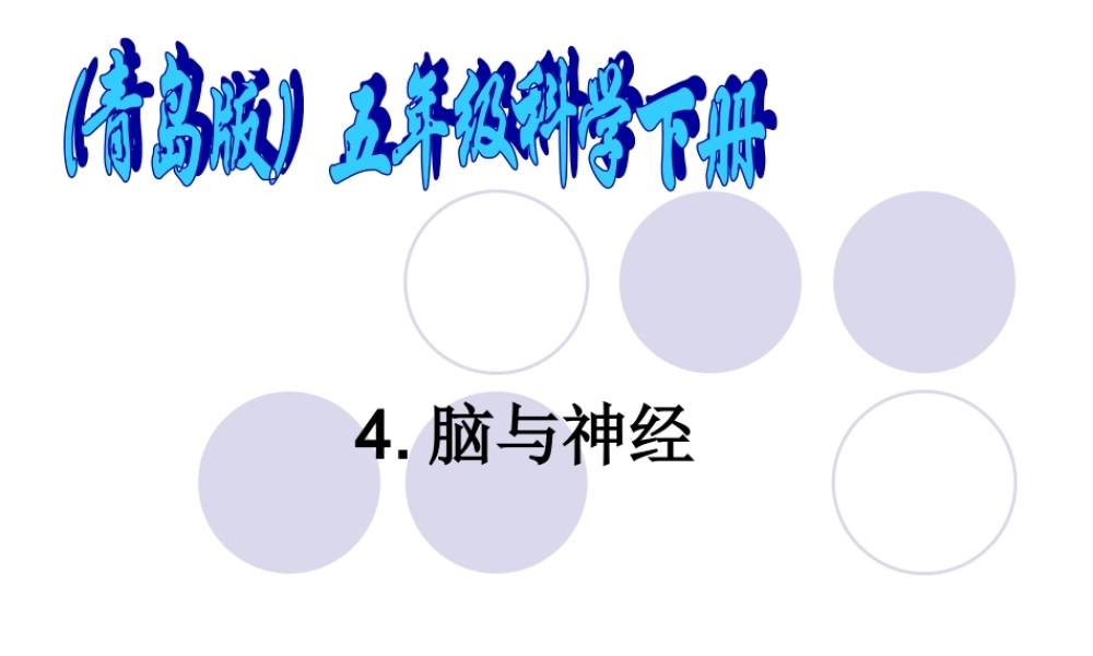青岛小学科学五下《4.脑与神经》PPT课件 (3)【加微信公众号 jiaoxuewuyou 九折优惠 qq 1119139686】.ppt